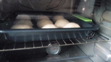 室温下进行二发，我直接放入烤箱中，无需盖保鲜膜，二发约1小时20分钟