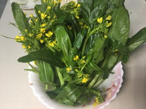 菜花去除老叶，摘成两段，洗净，控干水份。