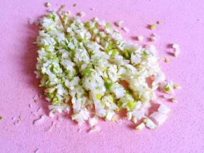 大葱切末