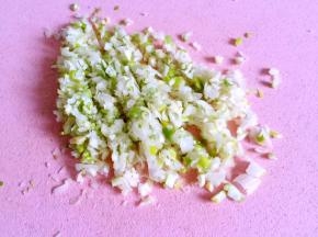 大葱切末