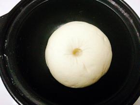 这个是发酵好的状态