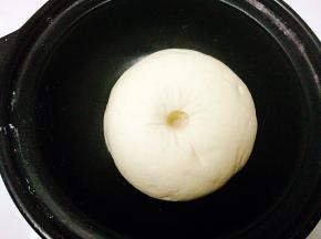 这个是发酵好的状态