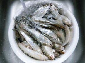 买回来的小河鱼放入器具中。用冷水反复冲洗，将鱼鳞去掉。