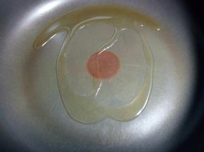 锅烧热下油。