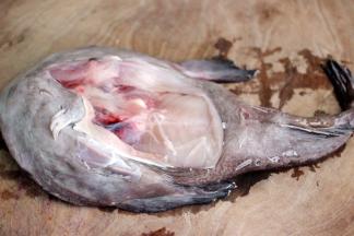 洗净后的安康鱼放到菜板上