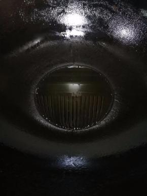 热锅，倒入适量食用油。