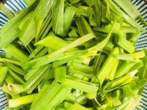 这是蒜叶