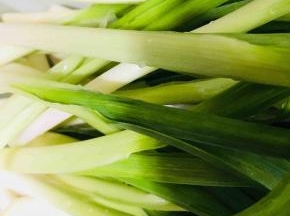 青蒜摘洗干净备用
