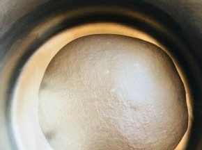 将揉好的面团进行第一次发酵。大概30分钟。