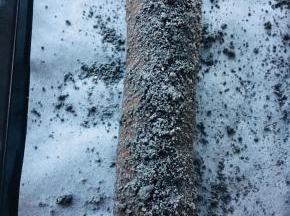 发酵好后，进行烘烤。上火160下火180.烤制13到15分钟