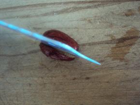 把大枣对切,不要切断