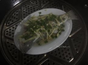 蒸好的鲈鱼撒上葱花
