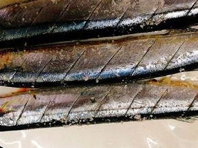 加盐腌制秋刀鱼