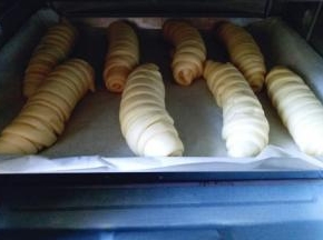 将做好的面包胚放入垫有油纸的烤盘中，并间隔距离，送进烤箱二次发酵。发酵是看约35分钟左右。