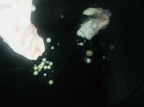 油温升至三成热的时候放入肉条