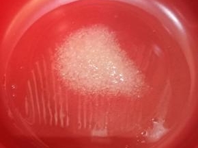 砂锅倒入一些食用油，冷油时放入一勺白糖，开小火，把白糖化开