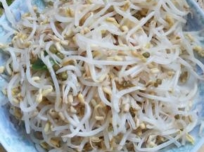 绿豆芽用清水洗净后再用开水烫过