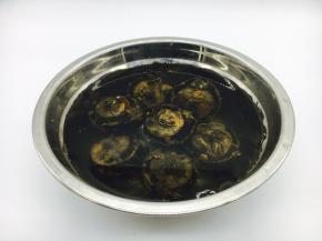 荸荠用清水泡泡，这样容易清洗，清洗时用硬毛的刷子刷去泥土。