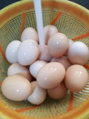 将生鸡蛋用流水洗干净