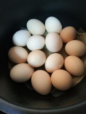 焖好的鸡蛋都熟了