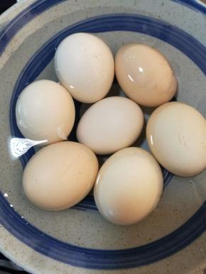 将煮熟的鸡蛋浸泡在凉水里，这样剥鸡蛋壳的时候就很好剥，鸡蛋不会黏壳