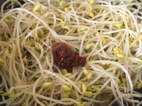 放入盐和豆瓣酱炒香