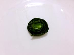 取一条韭菜从根部开始卷起