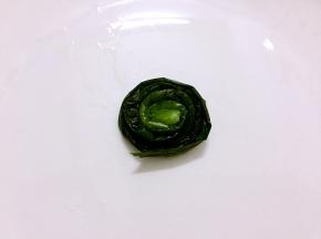 取一条韭菜从根部开始卷起