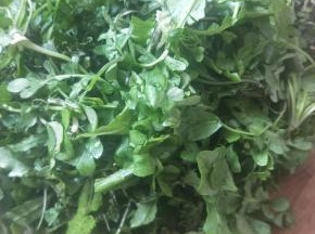 荠菜清洗干净