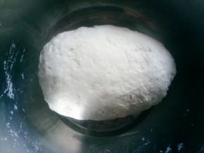 揉成面团，盖上盖子，放温暖的地方醒发