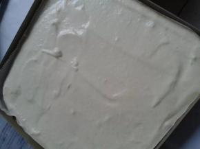 把蛋糕糊倒入，放入预热230度的烤箱，220度烤25分钟，再加五分钟上色