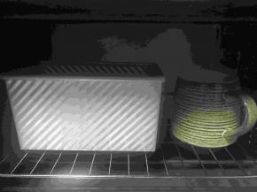 在温暖湿润处进行二发