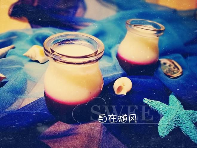 火龙果牛奶布丁