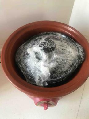 熬制的过程中记得打开砂锅看看锅里水还剩多少，一般电砂锅都不用操心，因为不费水，放燃气灶上的就比较费水，得多看