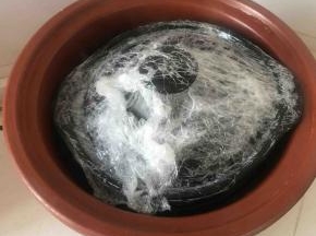 熬制的过程中记得打开砂锅看看锅里水还剩多少，一般电砂锅都不用操心，因为不费水，放燃气灶上的就比较费水，得多看