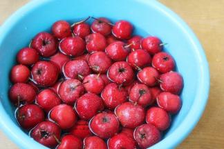 新鲜山楂挑选，洗净，盐水浸泡10分钟；