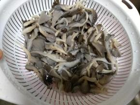 平菇洗干净后开水锅中焯水10分钟，捞起冷水冲洗一下后控干水分后切成碎丁