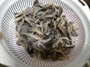 平菇洗干净后开水锅中焯水10分钟，捞起冷水冲洗一下后控干水分后切成碎丁