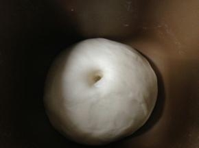 放入温暖湿润处发酵至两倍大