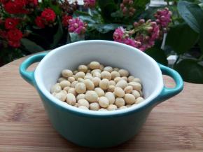 黄豆到家带的，颗粒大小都不一样