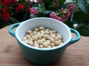 黄豆到家带的，颗粒大小都不一样