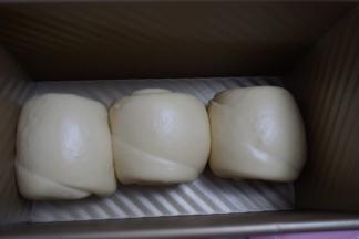 然后将面团放入吐司盒中静置至七八分满