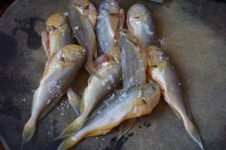 然后在风干的小黄鱼上撒盐抓匀