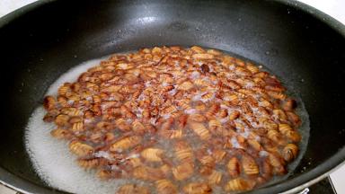 锅中注水，放入花椒粒，姜适量，放入蚕蛹进行焯水30秒钟。