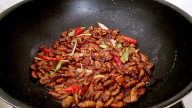 炒至蚕蛹水分收干。