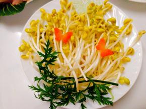 自发的黄豆芽，哈哈发的不是很长，贪吃就收割了，豆芽营养丰富，美味又爽口。自己在家发豆芽，吃的就是一个放心！用可乐瓶发豆芽，嘿嘿，那叫一个简单安全又环保