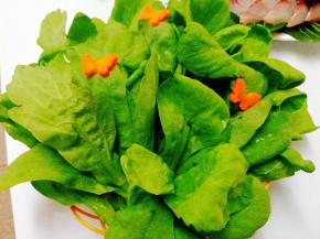 蛾菜，火锅必备的蔬菜