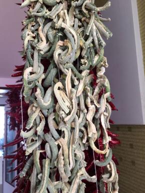 将切好的萝卜条用棉线串起来，放在通风有太阳的地方晒制，我的大概晒了4天的样子。