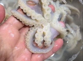 用手拿着八爪鱼对着搓，搓掉吸盘中的黑色脏东西。多用清水清洗几次。