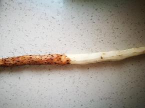 铁棍山药洗净去皮